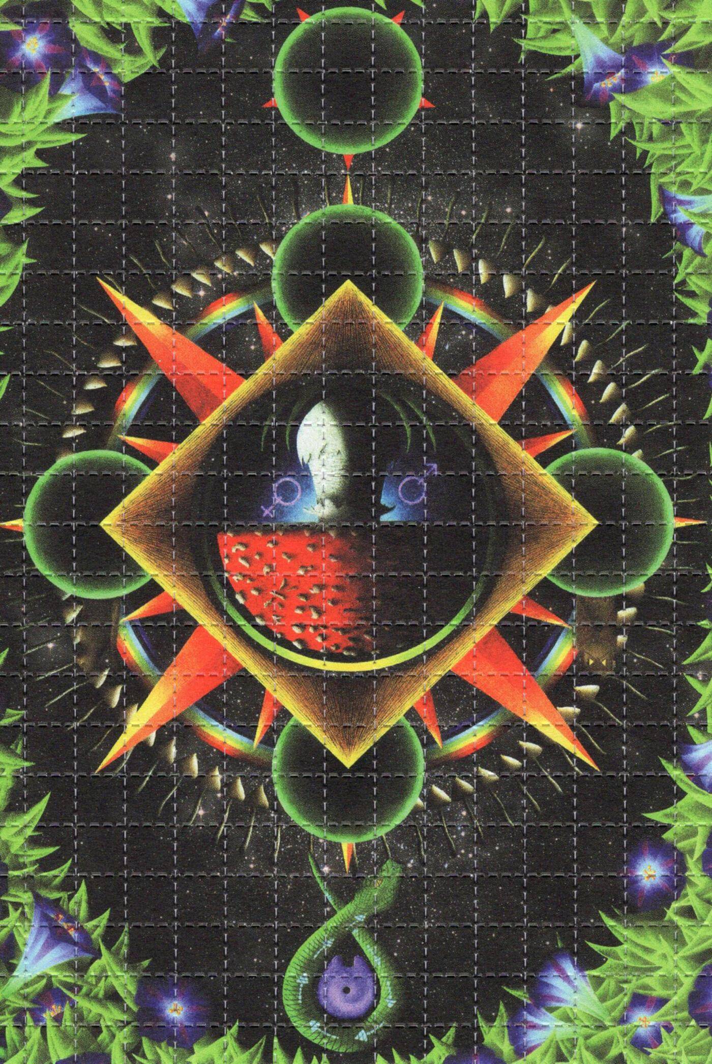 Shamanita Illuminatus Shamanita Illuminatus